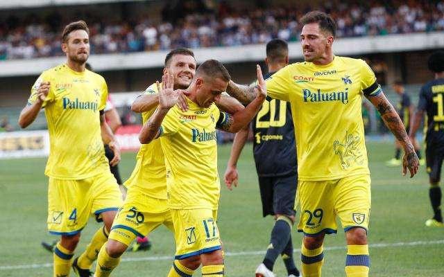 与情感纽带 与情感纽带